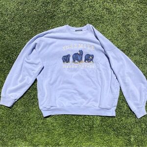 Brandy Melville Light Blue Yosemite Crew Neck Sweater One Size